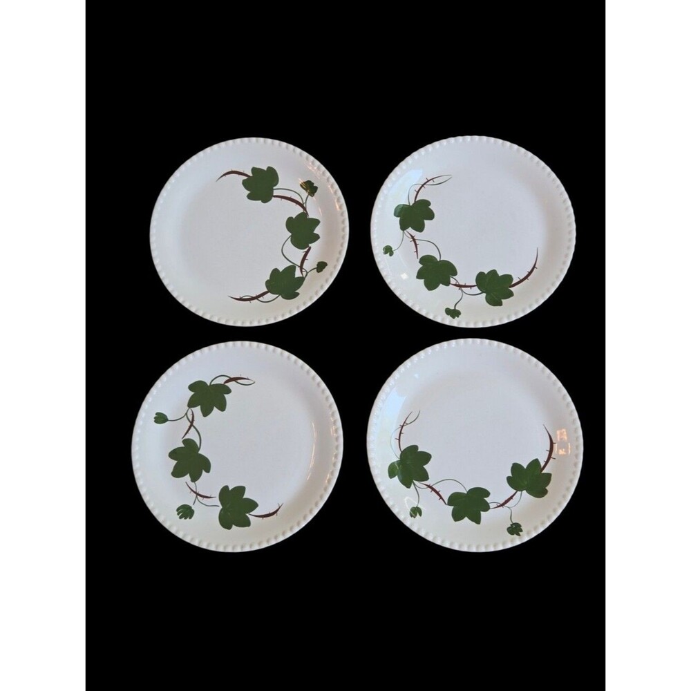 Set of 4 VTG Dinner Plates Blue Ridge Southern Ivy Hand Painted Candlewick Edges